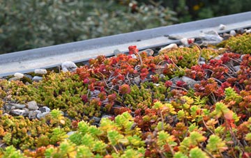 the cost of Colinton green roof installation
