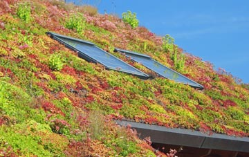 Colinton living roof systems