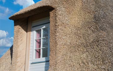 Colinton thatch roof disadvantages